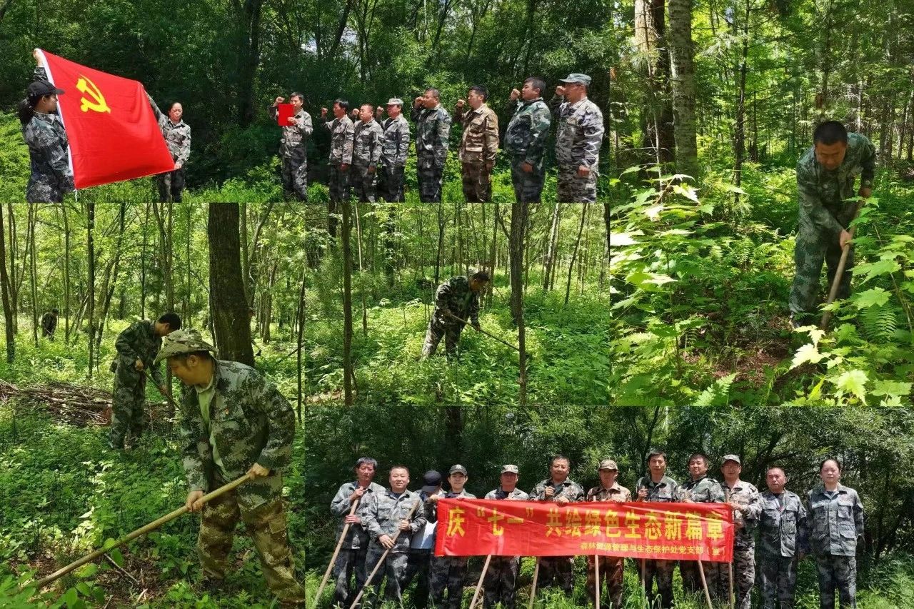 1719276584335783.jpg 微信图片_20240625084936.jpg