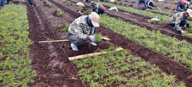 1745495273508681.jpg 微信图片_20250424194402.jpg